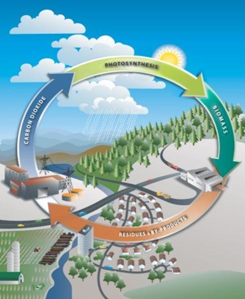 Intézkedésstruktúra : A megújuló energiaforrások felhasználásának növelése Hálózatra termelő, nem épülethez kötött megújuló energiaforrás alapú zöldáram-termelés Az energiahatékonyság és az