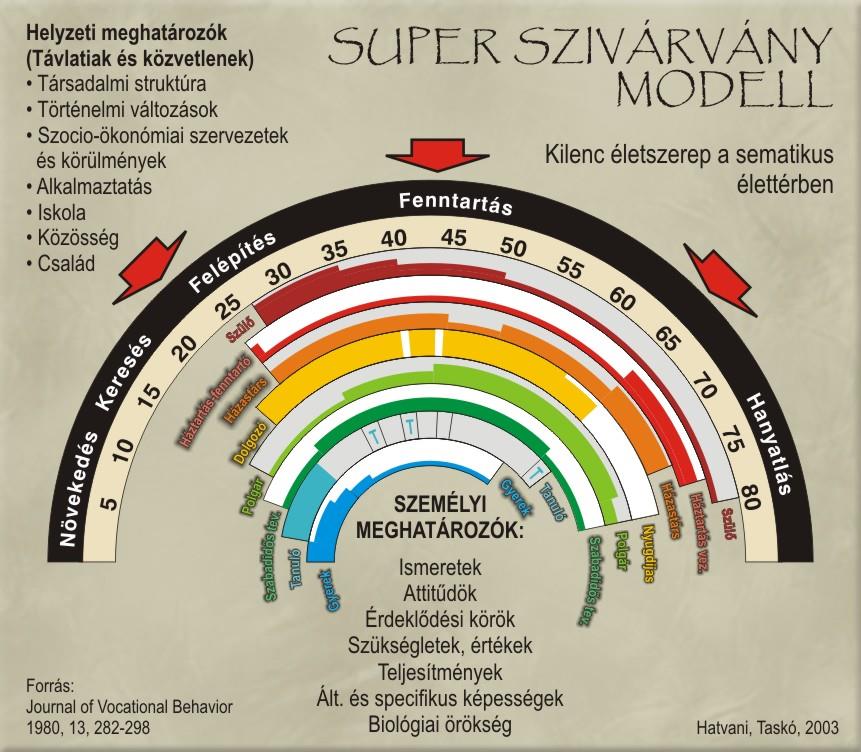 a pályaszocializáció a személyiségfejlődés része, értékek alakulásával, szerepek és viszonyulási módok elsajátításával jár szakképzés során, a leendő szakember kialakít egyfajta viszonyt szakmája