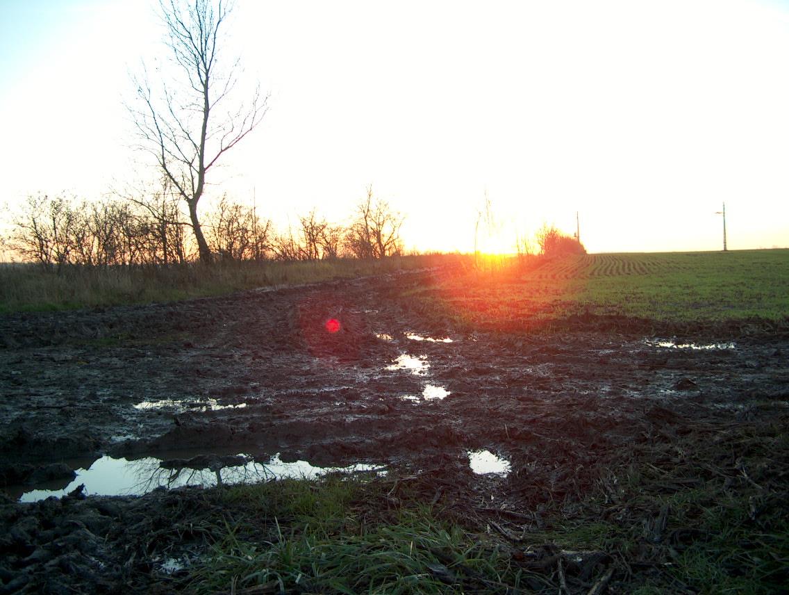 Felmérések folynak: különböző programok kapcsán EU csatlakozás (kifizetés és ellenőrzés) NAKP, ÉTT NATURA 2000, Bird és Habitat,