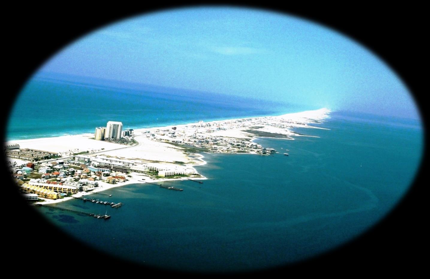 FLORIDA a Florida International Chamber of Commerce és bemutatja: a Florida International Realty Gulf Coast Inc.