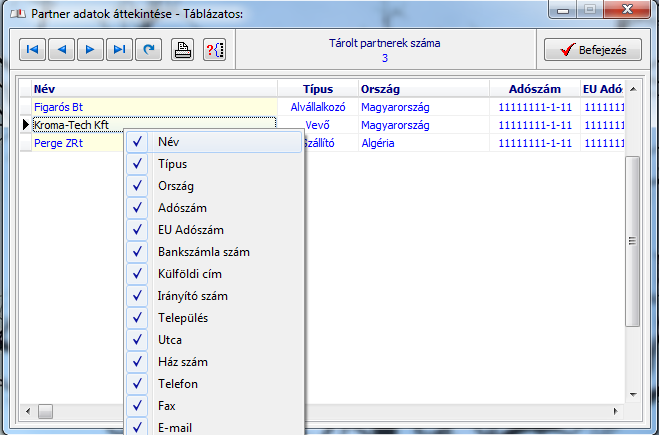 17. ábra - Partner adatok áttekintése - Táblázatos formában Táblázatos formában történő megjelenítés esetén is érvényesek a fent