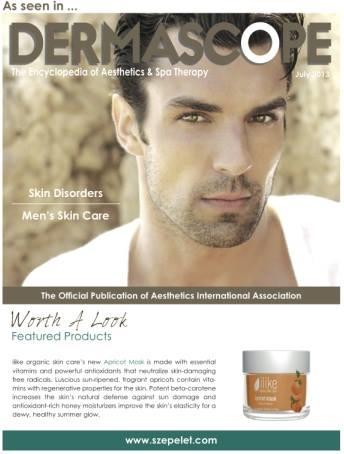 48. ábra Skin Inc magazin 2013 (USA)