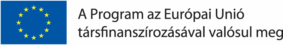 dokumentum nem minősül hivatalos fordításnak, hanem kizárólag az angol nyelvű eredeti könnyebb megértését