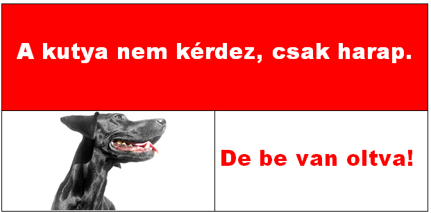 Gépeljük be a bal felső sarokba: A kutya nem kérdez, csak harap. Azután jelöljük ki és állítsuk a betűtípust: Arial Black 24 es re és fehér színűre.