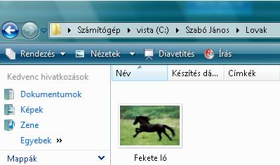 Keressük meg a saját mappánkat, lépjünk bele! Itt vannak a mappák, amiket az előbb hoztunk létre! Na vajon melyikbe kell belelépni??? A lovakba.