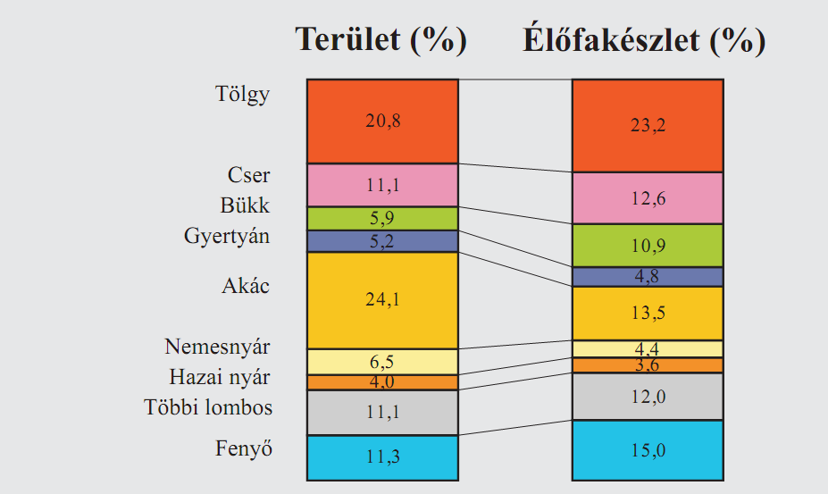 Oldalszám: - 20-2011-ben Magyarország erdeinek 56,4%-a volt állami kézben, 41,6%-a magánkézben, 1,1%-a közösségi és 0,9%-a vegyes tulajdonban.