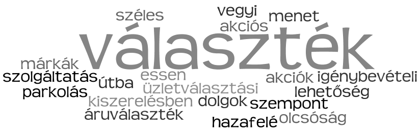 22. ábra Nagybevásárlás üzletválasztási szempontjai 30 szavas szófelhő Forrás: http://www.wordle.net/show/wrdl/3883991/f%c3%b6ldi_v%c3%a1s%c3%a1rl%c3%b3i _m%c3%a9lyinterj%c3%ba_3.