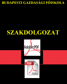 Elektronikus szakdolgozatok (tájékoztató a szakdolgozati konzultáció keretében) Előadó: Szabó G.