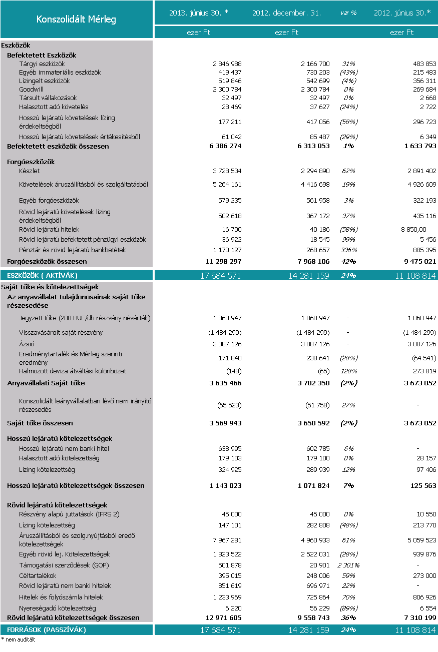 Synergon Csoport mérlegváltozások bemutatása A Csoport konszolidált mérleg főösszege 2013.