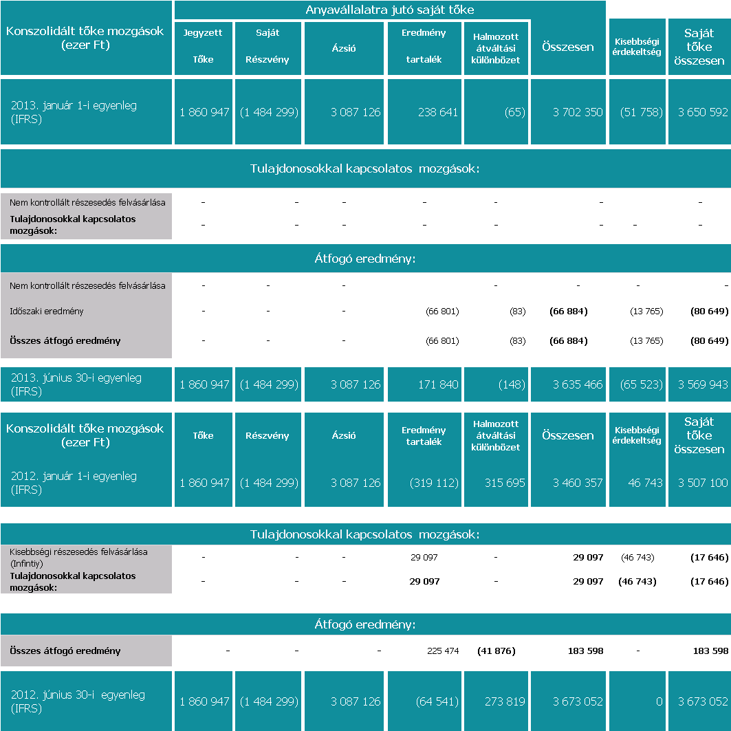 Synergon Csoport saját tőke változása 2013.