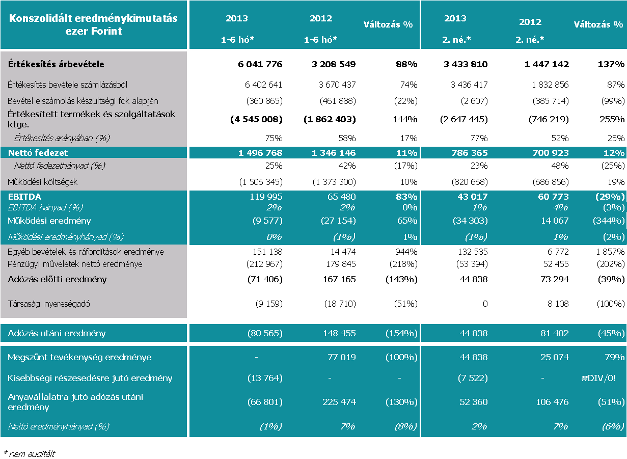 A Synergon Csoport 2013. június 30-i eredményelemzése 2013.