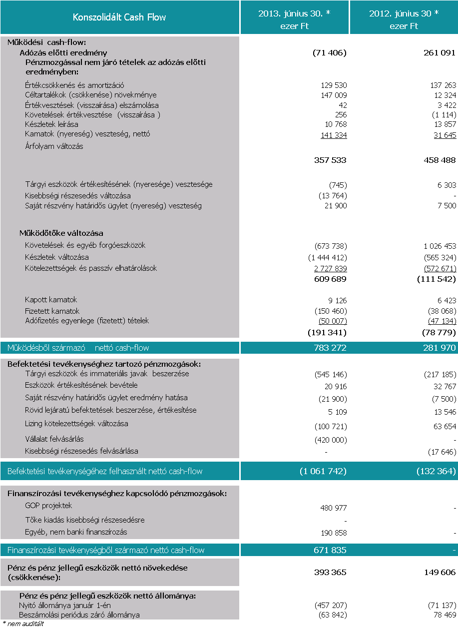 Synergon Csoport Cash-flow Jelentés a Synergon