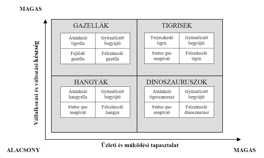 A közép-kelet-európai vállalkozások tipológiai osztályozása 8. ábra: Vállalkozási stratégiák az egyes vállalkozási típusokon belül Forrás: Vecsenyi, 2003, 77. oldal 3.