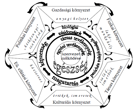 16. ábra: Az OLEF 2000-ben alkalmazott egészségmodell Forrás: Boros (2002) Ennek a kapcsolatrendszernek az összetettsége megszabja az egészségfelmérések elemzésének lehetőségeit.