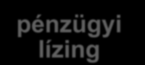 pénzügyi lízing - a tulajdonszerzés, mint lehetőség a pénzügyi lízing az a tevékenység, amelynek során a lízingbeadó a lízingtárgy tulajdonjogát a