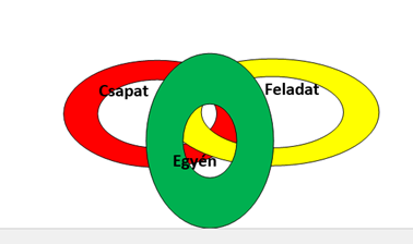 A projektvezetőnek olyan vezetői képességeket kell birtokolnia, amelyekkel meg tudja teremteni a projekt során fennálló hármas igény - a csapat, az egyén, és a feladat - egyensúlyát.