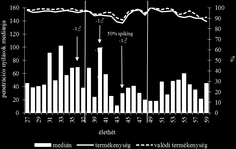 A 4. csoportban, ahol a kakasok felét cseréltük le a 44. élethéten, (10. ábra) a 31. és a 40. élethét között volt a legmagasabb az IPVL hole-ok száma, 102 max. median értékkel. Az 1.