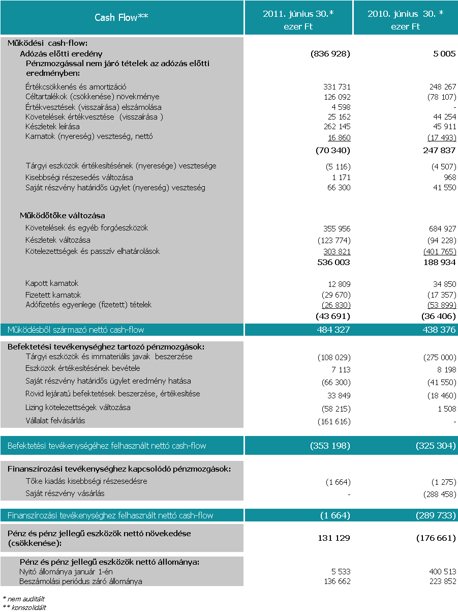 Synergon Csoport Cash-flow A társaság nettó pénzeszköz állománya 2011. június 30-án 137 millió forint volt.