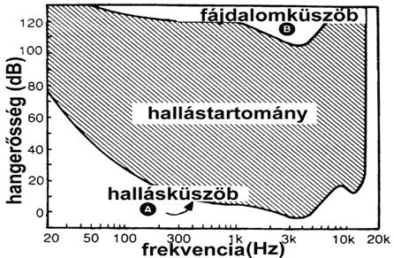 A hang érzékelése, hallás Akusztikai fogalmak A hangmagasságot a legmélyebb részhang, a hangszínt a frekvenciatartományi viselkedés (amit a burkológörbe szemléltet), a sávszélesség,