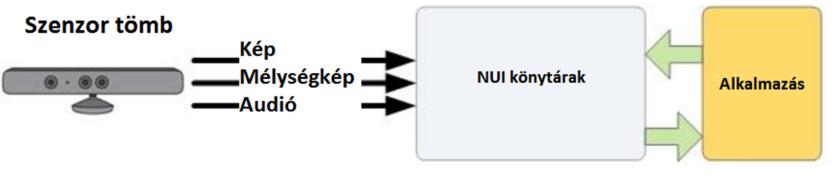 szkeleton illesztése (NUI) A belső működése (adatfolyamhoz való hozzáférés) nem annyira befolyásolható, mint az OpenNI esetében [12], de azt tudni lehet, hogy a szkeleton illesztés és követés más