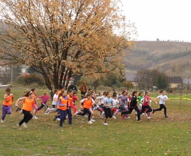 100 m mellúszás 1. Tóth Dominika, Bolyky T. Ózd 1:30,23 Tt: Albert Csaba 2. Bártfai Csenge, Újváros Téri Ózd 1:30,24 4x50 m gyorsváltó 1. Bolyky T. Általános Iskola Ózd 2:13,76 (Csobod Amina, Virág Eszter, Tóth Dominika, Csépányi Dalma) Tt: Albert Csaba IV.