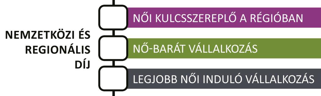1. Kategória Kérjük, a választott kategóriát jelölje X-szel, és adjon további információkat a megfelelő
