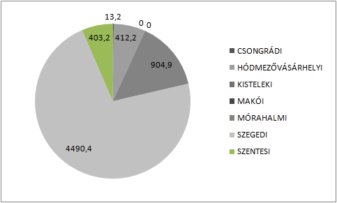 HELYZETFELTÁRÓ- HELYZETELEMZŐ - HELYZETÉRTÉKELŐ MUNKARÉSZEK 11 Forrás: Baross-kutatás adatbázisa, SZTE Gazdaságtudományi Kar, 2010 város további regionális jelentőségét emeli a 451-es úton Csongrád