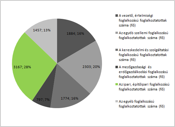 HELYZETFELTÁRÓ- HELYZETELEMZŐ - HELYZETÉRTÉKELŐ MUNKARÉSZEK 49 (óvónő, tanár stb.). Komoly elhelyezkedési gond a nyelvtudás hiánya, közép és felsőfokú szinten egyaránt.