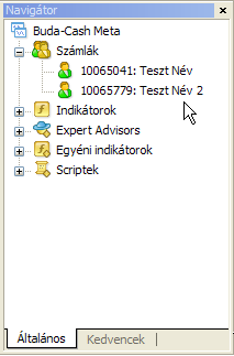 Miután a regisztrációt befejezte, az utolsó ablakban találja a demo számlához tartozó login nevet, jelszót, valamint a befektető jelszót.