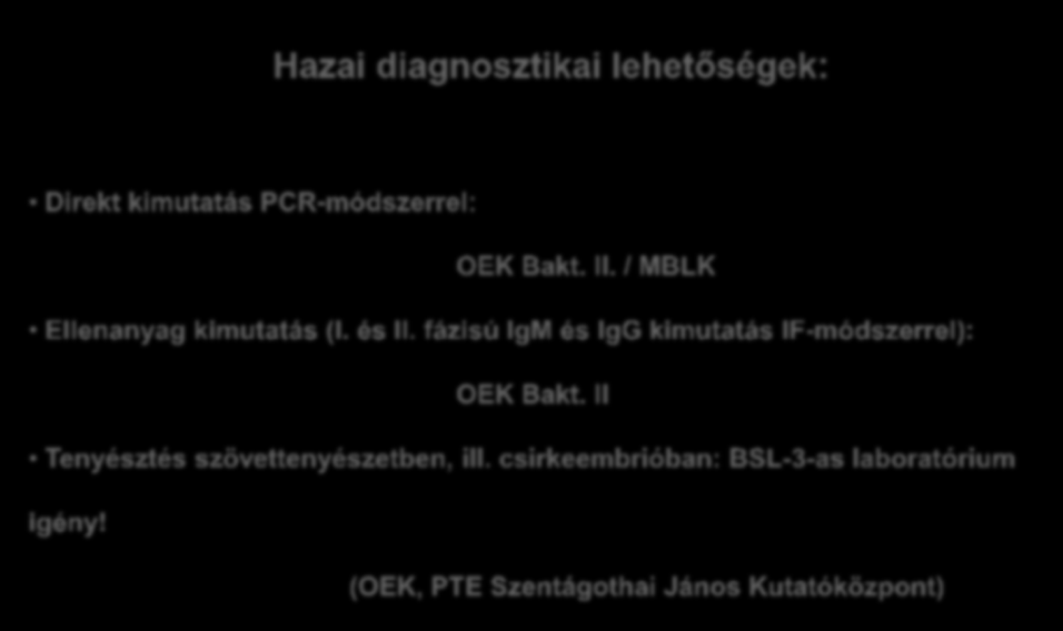 Hazai diagnosztikai lehetőségek: Direkt kimutatás PCR-módszerrel: OEK Bakt. II. / MBLK Ellenanyag kimutatás (I. és II.