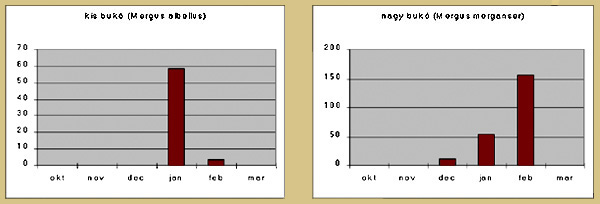 36. ábra Báratréce és Tőkésréce (KALOCSA, TAMÁS, 2003) 37.