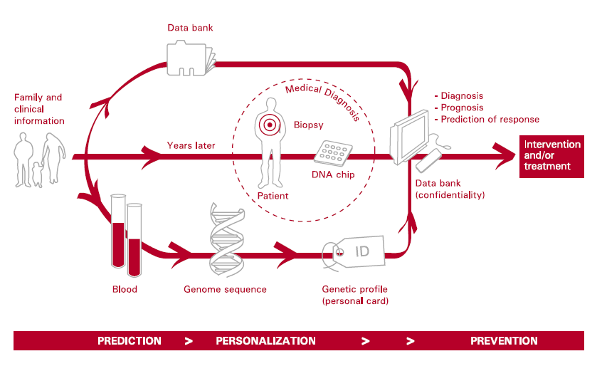 1. ábra: A személyre szabott orvoslás jövőképe (Institute of Predictive and Personalized Medicine of Cancer, 2008) 3.