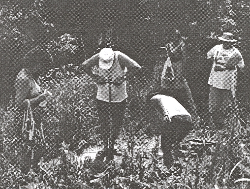 (16. ábra). A talajszelvény feltárása történhet fúrással is. A feltáráshoz ebben az esetben megfelelı egy könnyő kézifúró (17. ábra), mert a mintavételkor nagyobb mélységekbe nem hatolunk be.