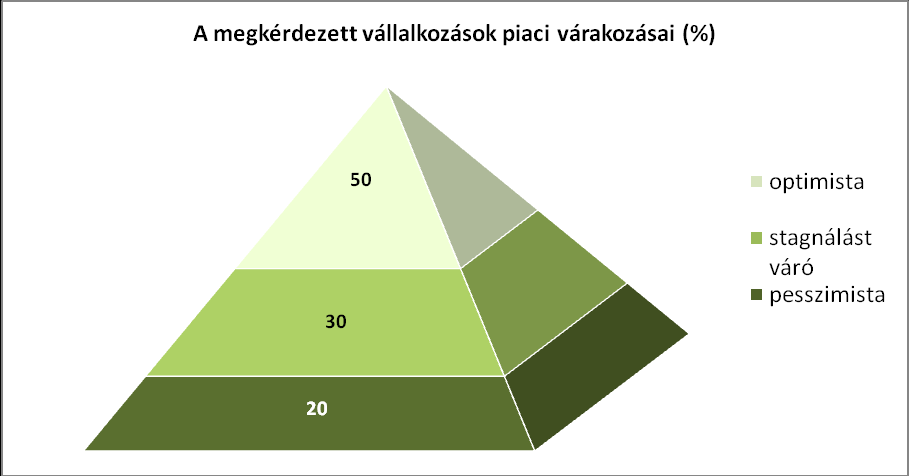 piaci várakozások alapján. A vállalkozások 1-2%-a nem volt besorolható az egyes kategóriákba, az ábrák csak a releváns válaszadókat tartalmazzák.