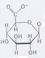 A hemoglobin hem