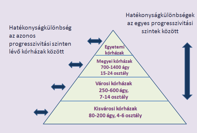 Egyrészt vizsgálható, hogy időben hogyan alakul az egyes kórházak technikai hatékonysága, változik-e az egyes törvényi intézkedések hatására (horizontális irány). 5.