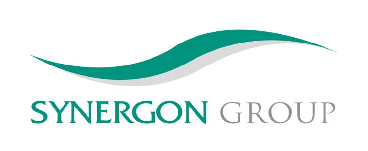 www.synergon.hu e-mail:investor.relations@synergon.hu GYORSJELENTÉS A Synergon Informatika Nyrt. konszolidált beszámolója a 2008.