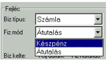 Műveletek menü 44 Ezek a bizonylatok azok, amelyeket kimenõ bizonylatként megadtunk a Nézet-Paraméterezés menüpontban. Az elnevezések magukért beszélnek! Válasszuk a számlát!