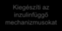 A dapagliflozin egyedi hatásmechanizmusának előnyei A dapagliflozin SGLT2-re kifejtett gátlásának eredményeképpen a napi glükózürítés ~70 g lesz, amelynek következménye: 1 a HBA 1c -érték