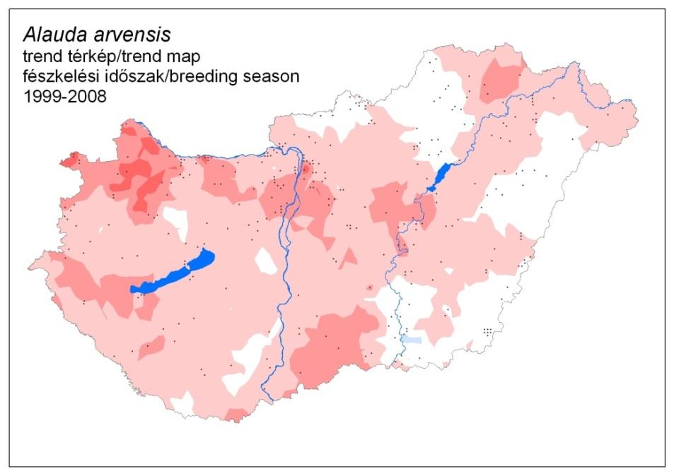 Jó/Rossz hír A mezei pacsirta