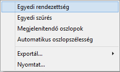 MetalSys Információs Rendszer - 7-2.3.9 Többűrlapos ablakok (fülek) Ha nem fér ki egy ablakba minden mező, akkor a fülek valamelyikére kattintva megjelennek az alatta jelölt funkciók, mezők.