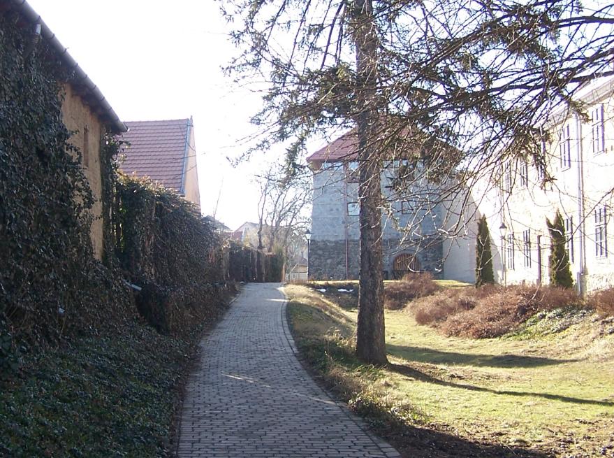Szécsény történeti jelentőségű közparkjai egy városi zöldfelületi rendszer a XIV. századból 9 10.