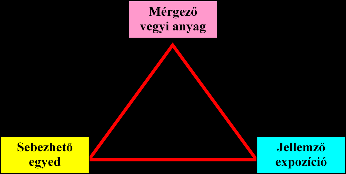 2.2 ábra: A katasztrófák közvetlen és közvetett következményei. 2.