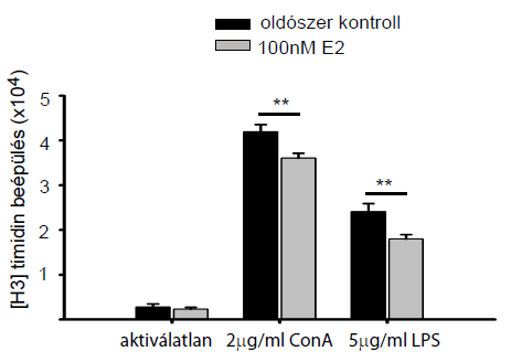 4.9. A mer (E2-BSA) és a citoplazmatikus ösztrogén receptorok (E2) által mediált folyamatok eltérő hatással vannak a limfocita proliferációra Mivel még nem tudunk sokat a genomiális és nem-genomiális