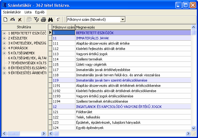 Számlatükör 19 A képernyő bal oldali blokkjában a kialakított struktúra tekinthető meg, míg a jobb oldalon az egyes főkönyvi számok és a hozzájuk kapcsolódó megnevezések.