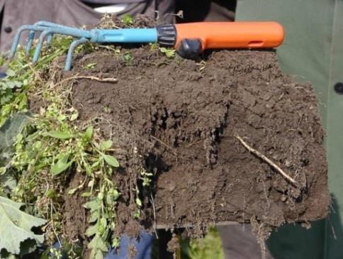 AZ ÖKOLÓGIAI SZŐLŐTERMESZTÉS ALAPELVEI László Gyula TÁPANYAGOK A TALAJBAN A hagyományos vegyszeres növénytermesztés a növény tápanyagigényét egyszerű módon elégíti ki: műtrágyázással.