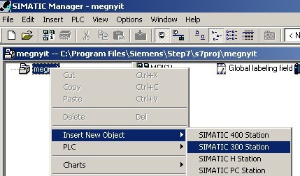 A megnyíló ablakban (81.ábra) kell megadni a projekt nevét és a könyvtárat. Alaphelyzetben a \step7\s7proj könyvtárat kínálja fel a program. A Browse gomb aktiválásával új könyvtárat is választhatunk.