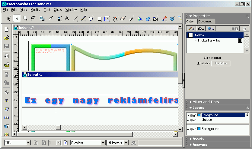 A webhely tartalmának megtervezése Macromedia FreeHand MX Ebben a szabadkézi rajzolási lehetőséget sugalló programban valóban szabad kezet kapunk az egyes rajzelemek elkészítésekor.