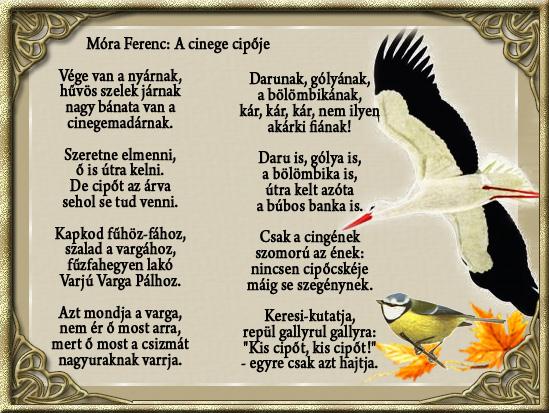 2011. október V. ÉVFOLYAM ÁRA: 100,-FT Sárgulnak a falevelek, egyre többször érint meg bennünket az ökörnyál, miközben kora reggel munkába, iskolába menet egyre összébb húzzuk magunkon a pulóvert.