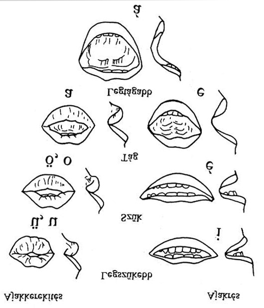 (labiális) magánhangzók képzésekor az ajkak a nyelvmozgással párhuzamosan előretüremkednek, az ajakréses (illabiális) magánhangzók képzésénél pedig éppen